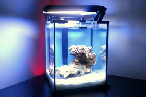 nano aquarium.jpg